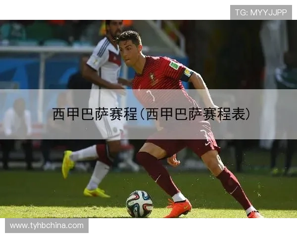 西甲联赛赛程文件下载与离线查看技巧